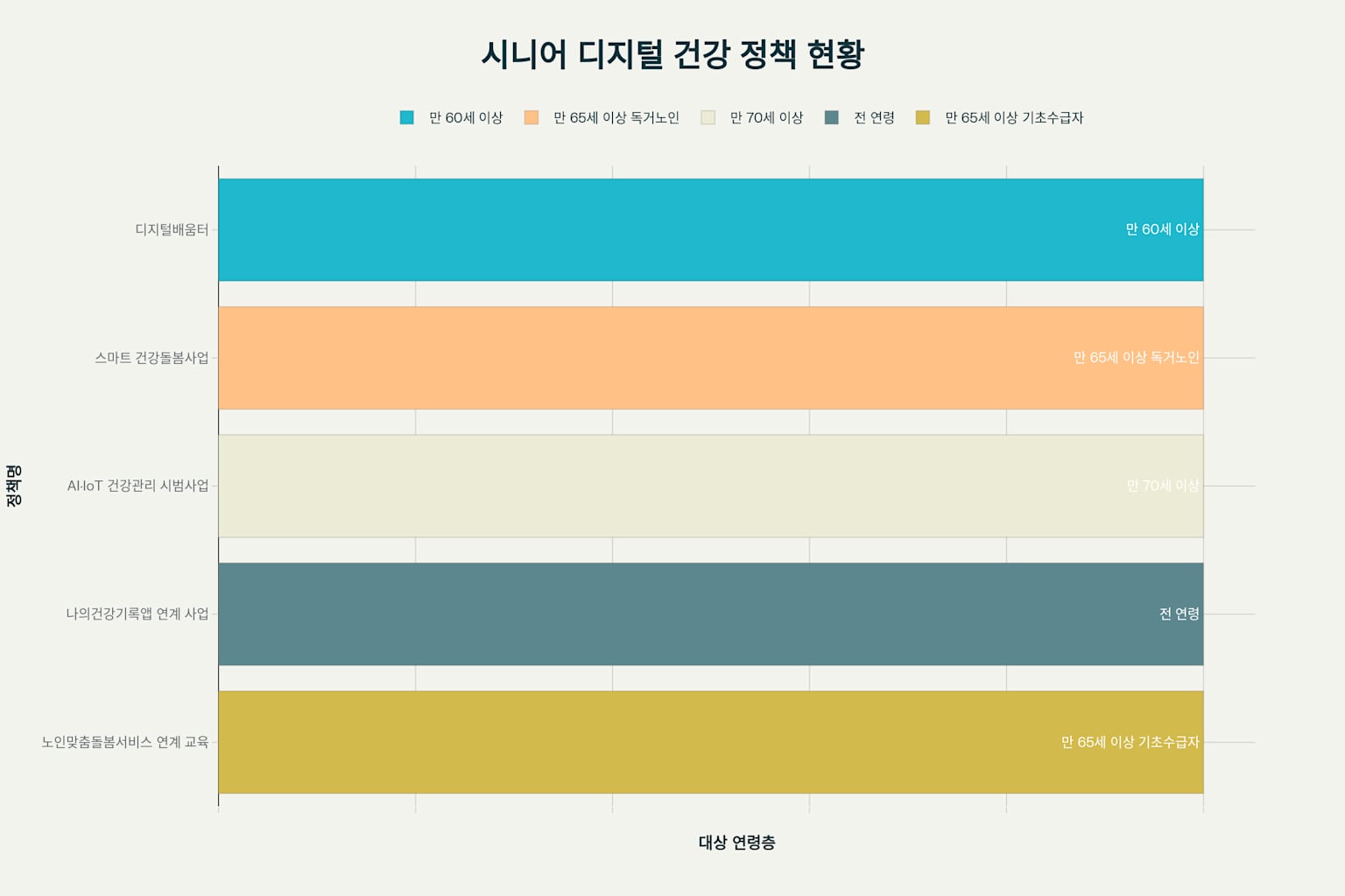 정부의 시니어 디지털 건강 지원 정책들을 연령대별로 정리한 차트